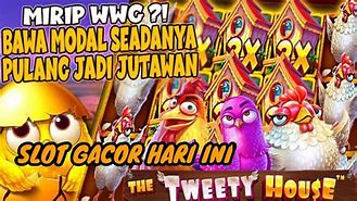 The Tweety House Slot Hari Ini Indonesia Inggris Indonesia Dan Inggris